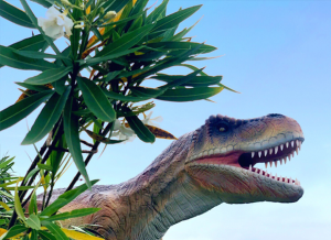 ヨコスカ恐竜パーク 2019