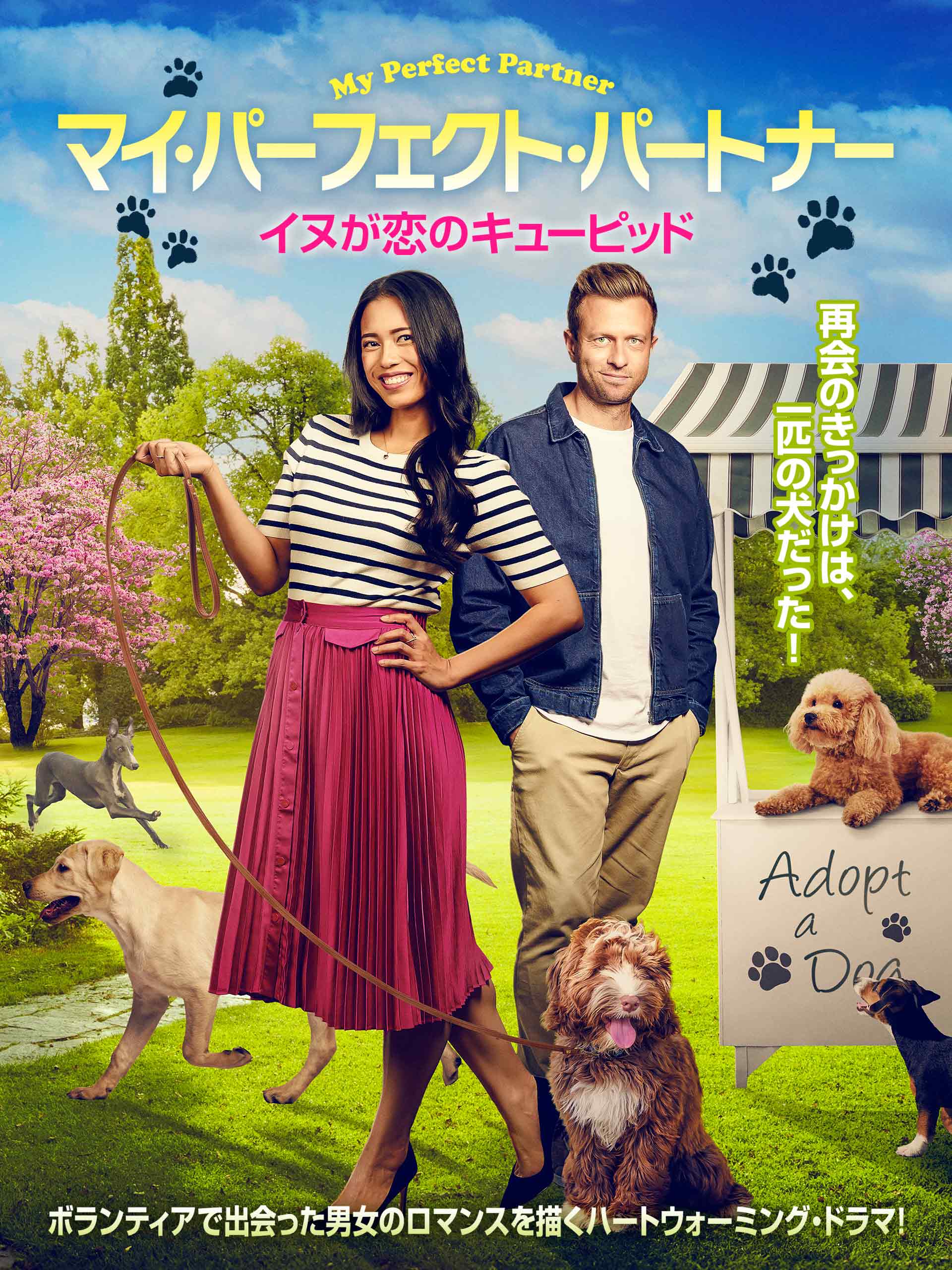 『マイ・パーフェクト・パートナー』